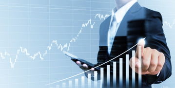 借信息化管理之翼，筑“三算合一”管控之基——论信息化集团管控在投资信息咨询领域的实现路径